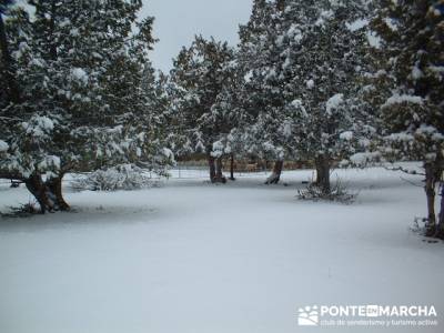 La Fuentona - Sierra de Cabrejas; senderismo madrid grupos; viajes senderismo